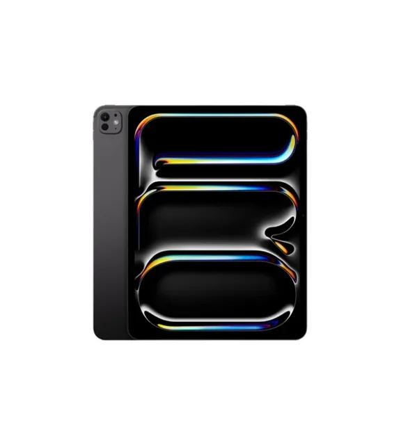 iPad Pro M4 11-inch 256GB